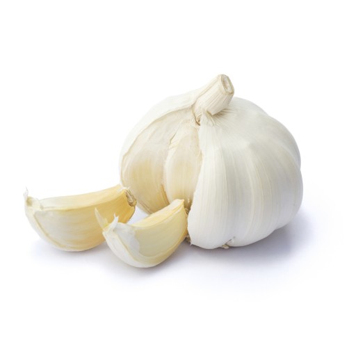 Japanese Word Of The Day Garlic Noun Japanesepod101 Com Blog