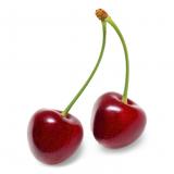 cherry