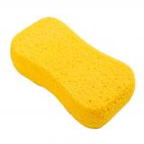 sponge