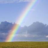 rainbow
