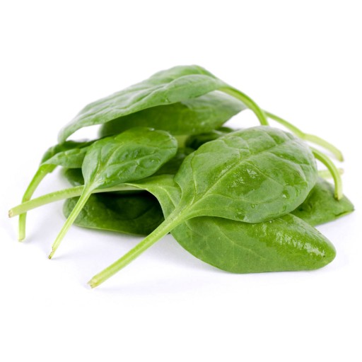 Filipino Word Of The Day Spinach Noun Filipinopod101 Com Blog